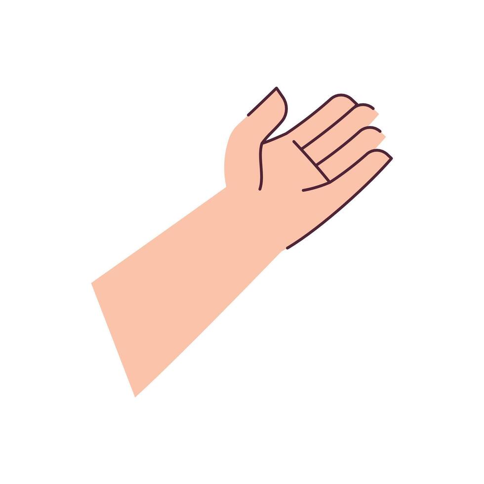 Vector hand holding gesture on white background