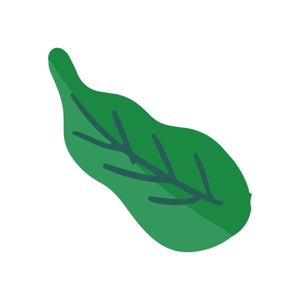 Vector green leaf icon on white