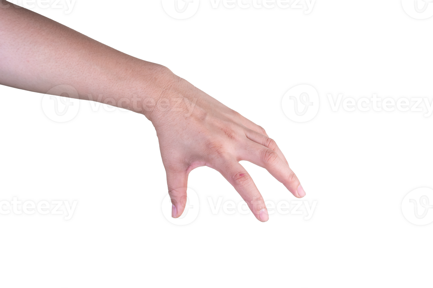 hand on isolated background clipping path png