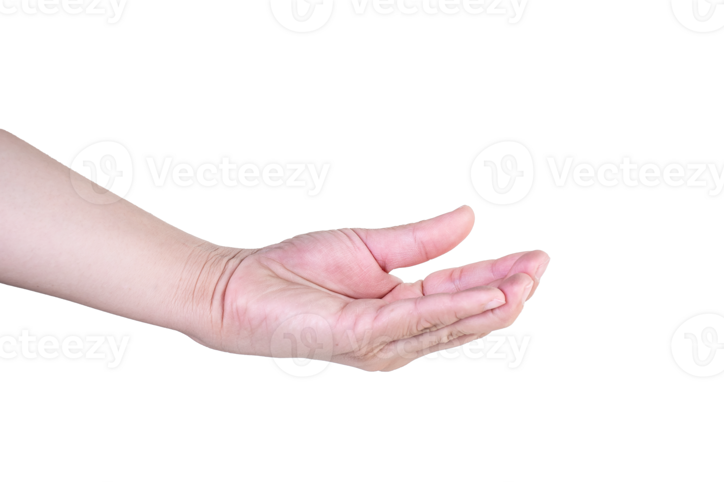 hand on isolated background clipping path png