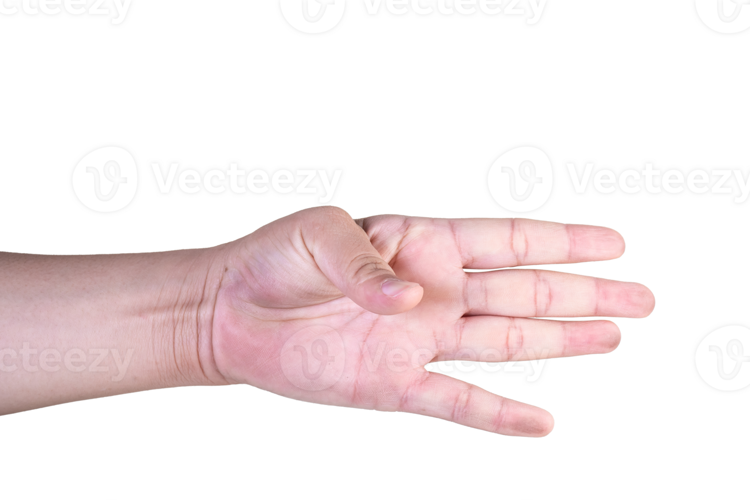 hand on isolated background clipping path png
