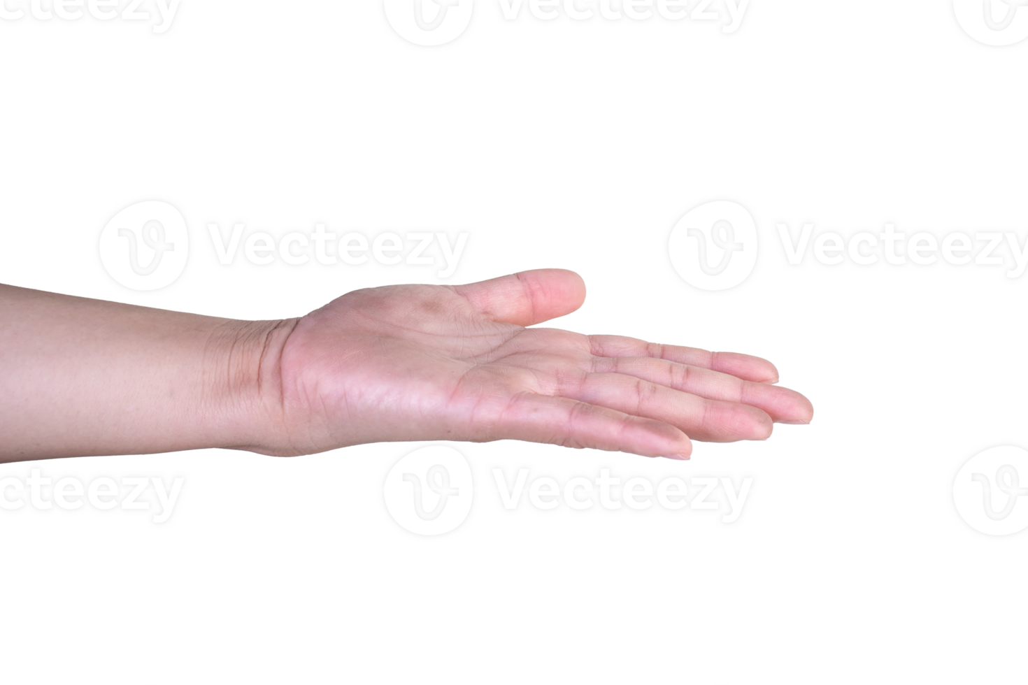 hand on isolated background clipping path png