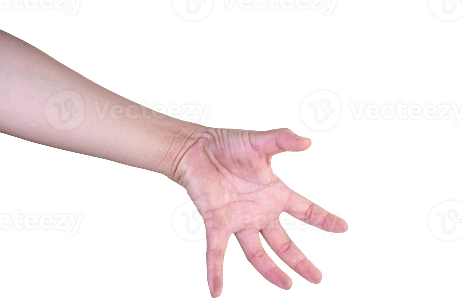 hand on isolated background clipping path png