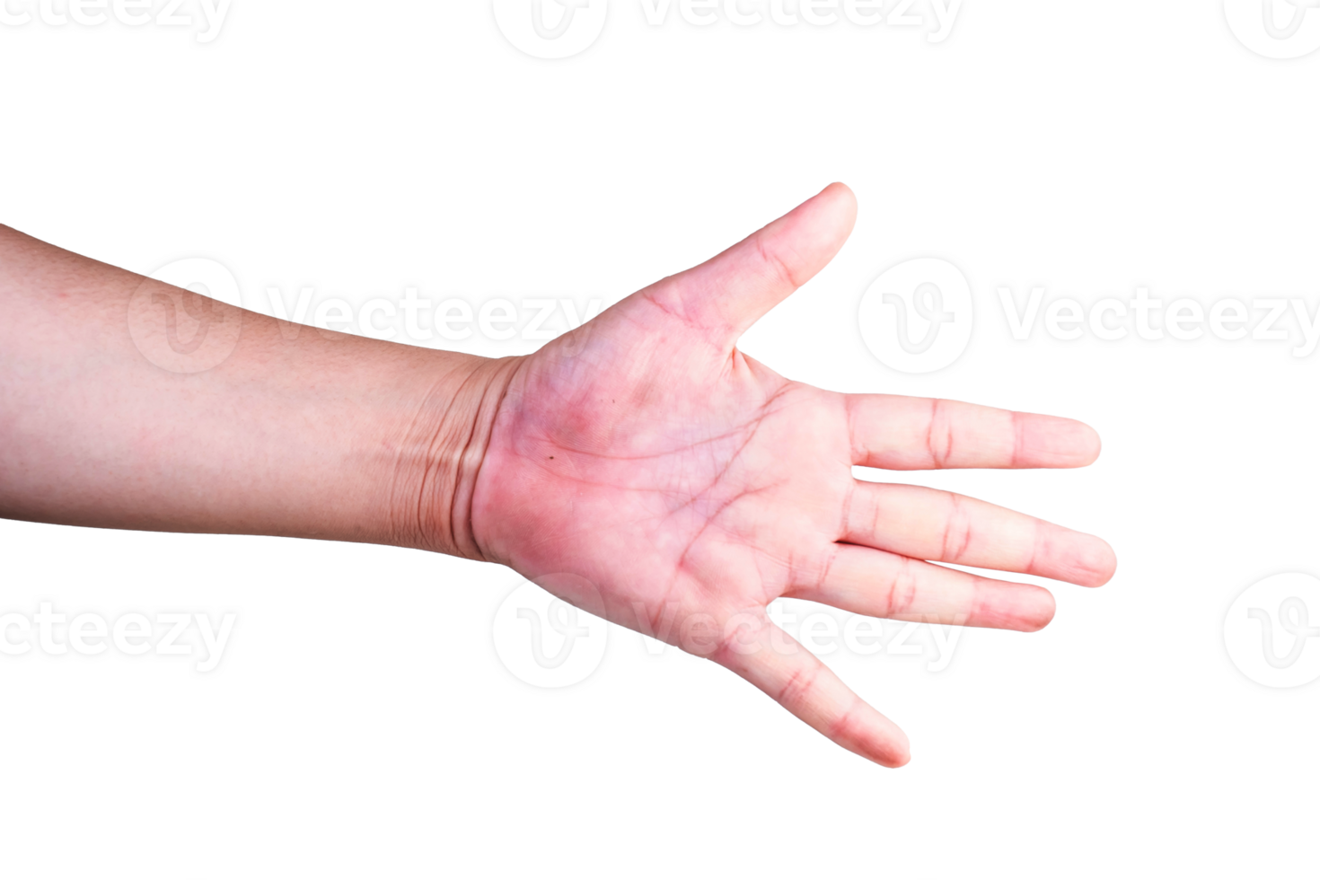 hand on isolated background clipping path png
