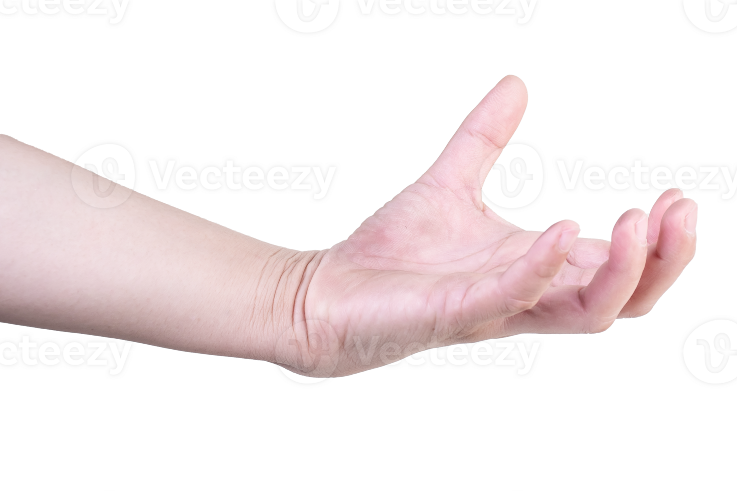 hand on isolated background clipping path png