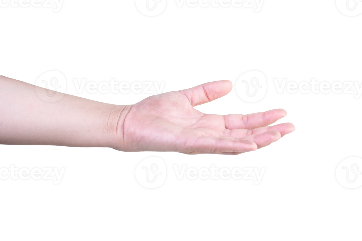 hand on isolated background clipping path png