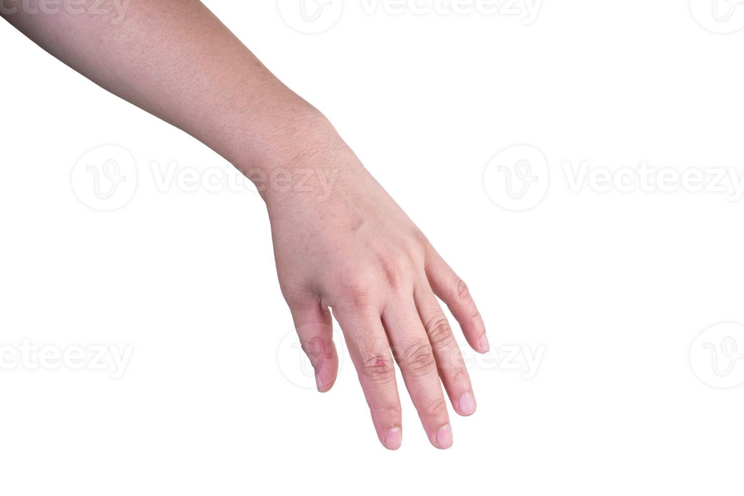 hand on isolated background clipping path png