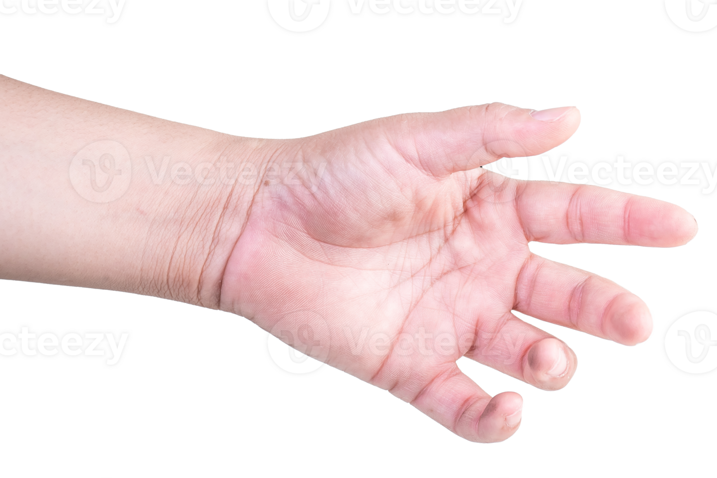 hand on isolated background clipping path png