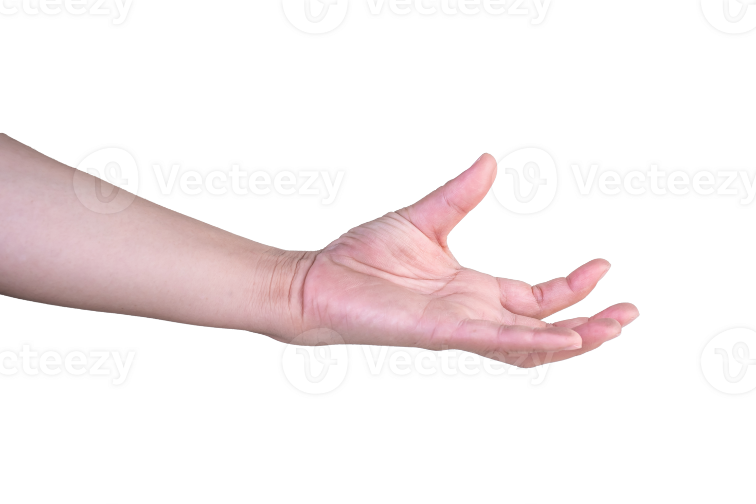 hand on isolated background clipping path png