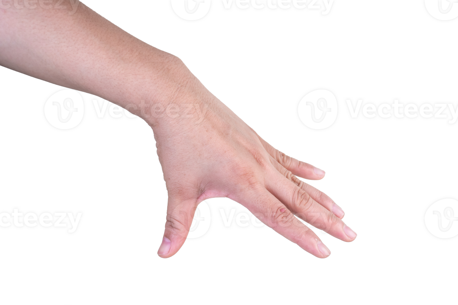 hand on isolated background clipping path png