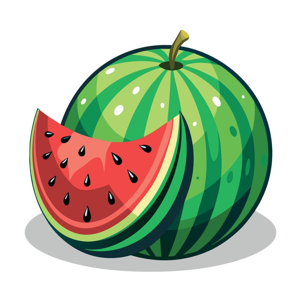 Watermelon colorful cartoon vector illustration
