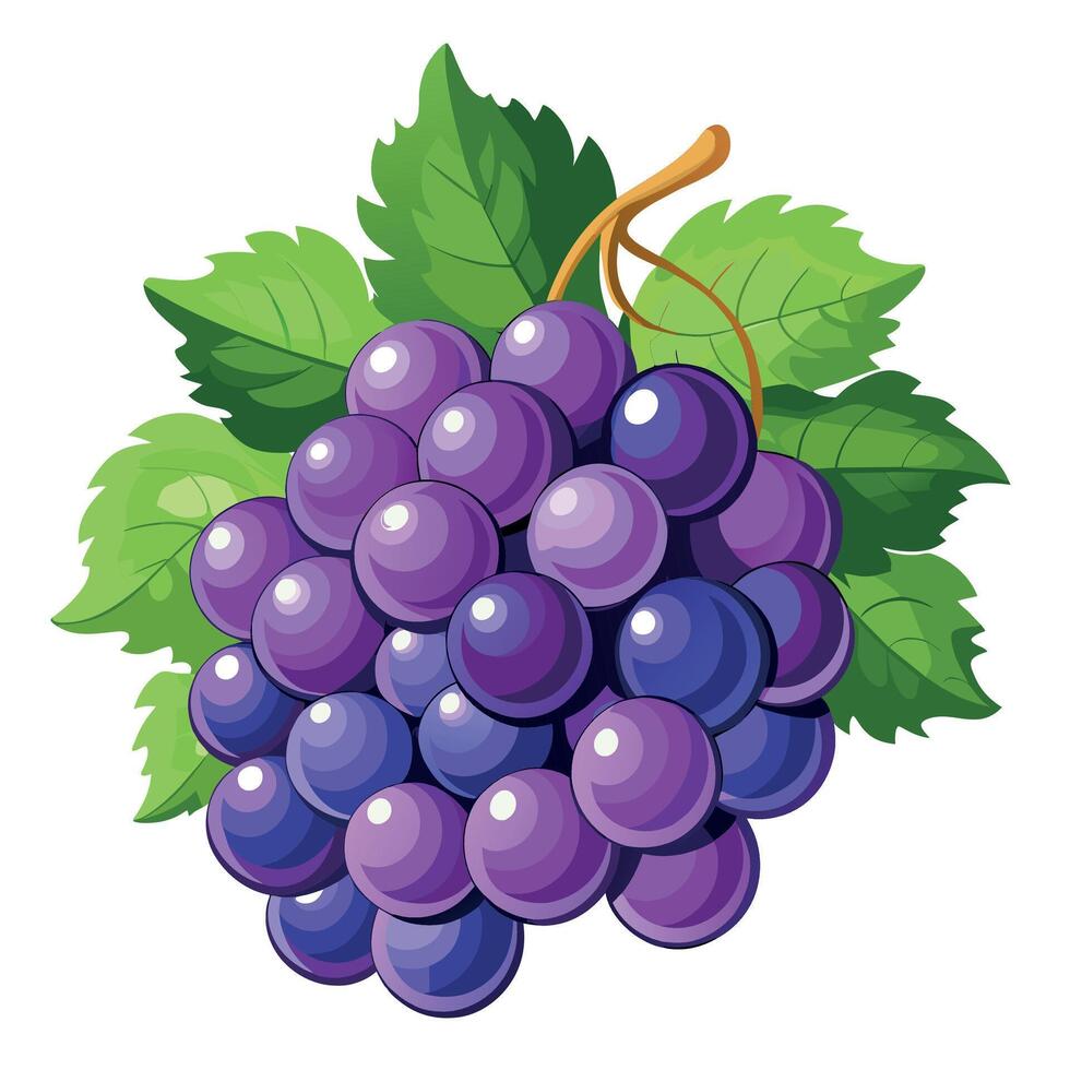Grape colorful cartoon vector illustration