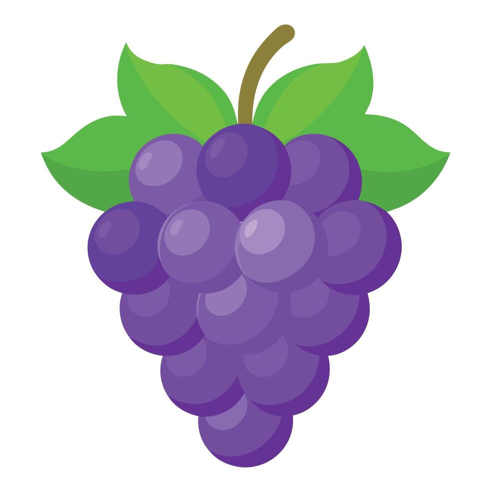 Grape colorful cartoon vector illustration