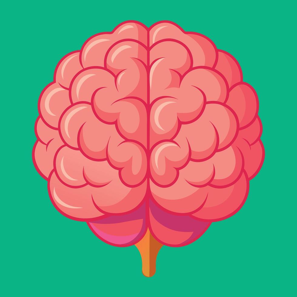 Brain colorful cartoon vector illustration