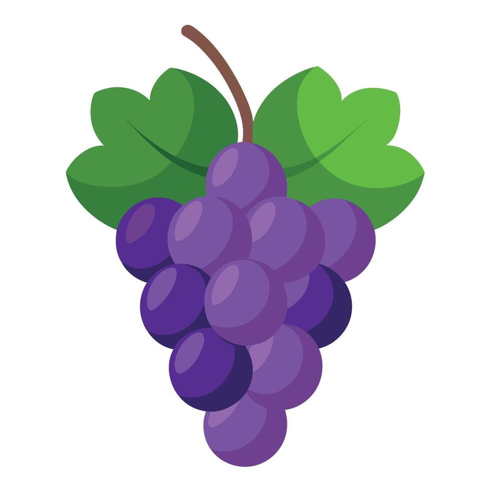 Grape colorful cartoon vector illustration