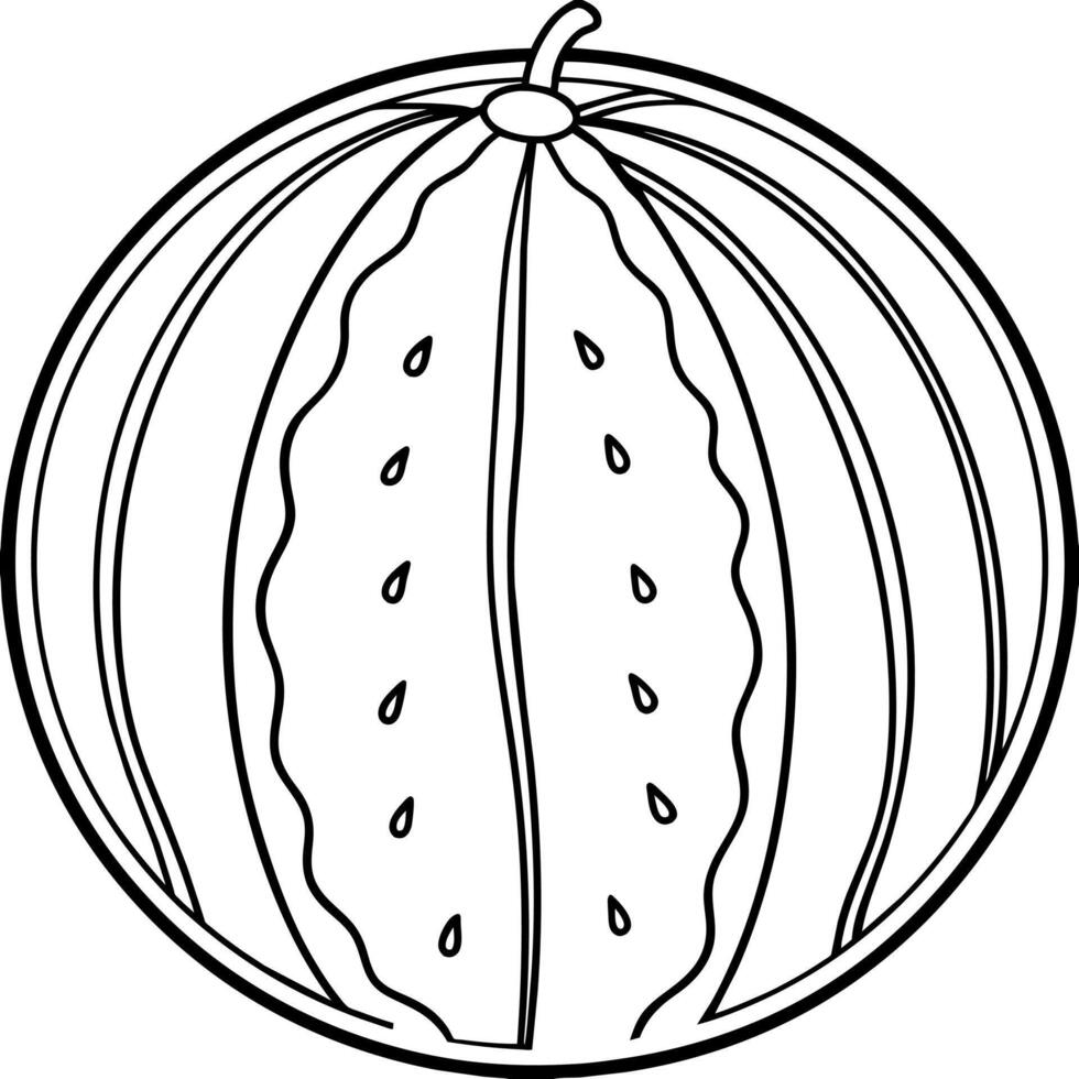 Watermelon outline coloring page illustration for children and adult vector