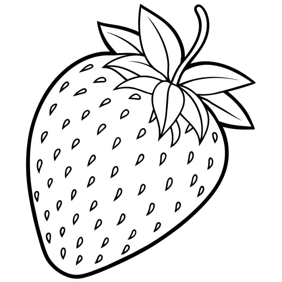 Strawberry outline coloring page illustration for children and adult vector