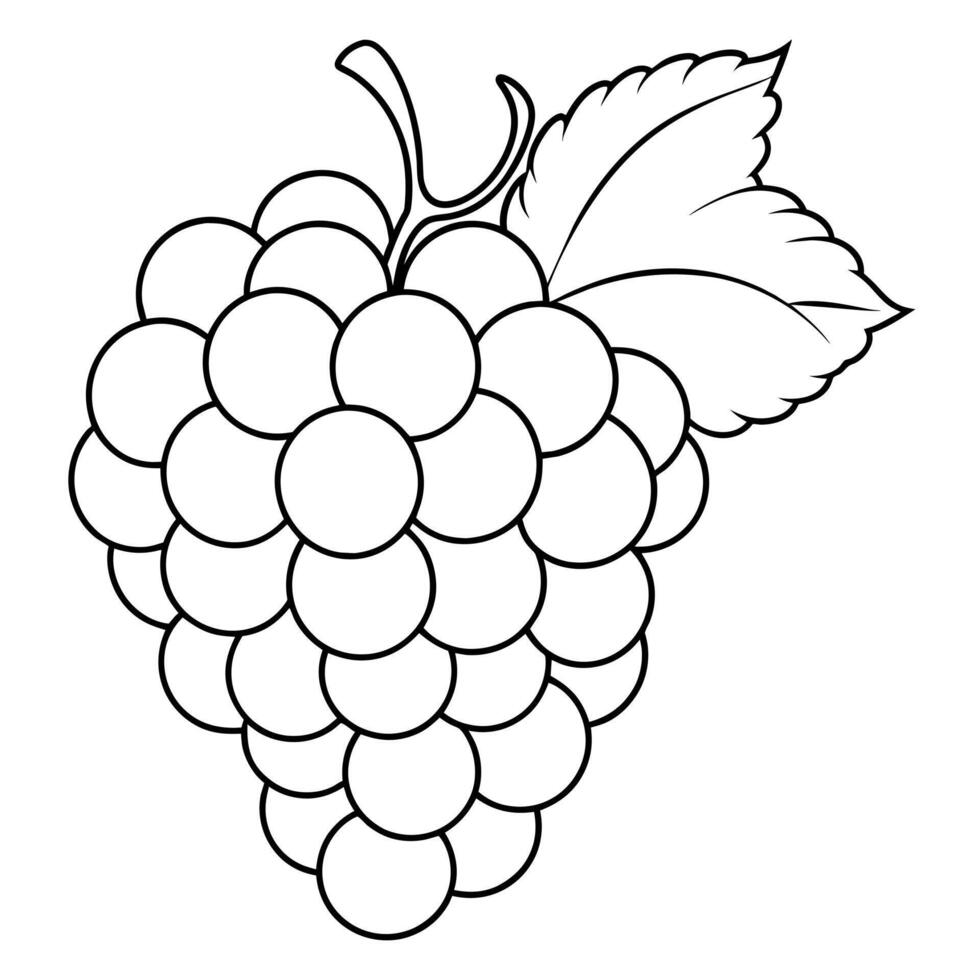 Grape outline coloring page illustration for children and adult vector