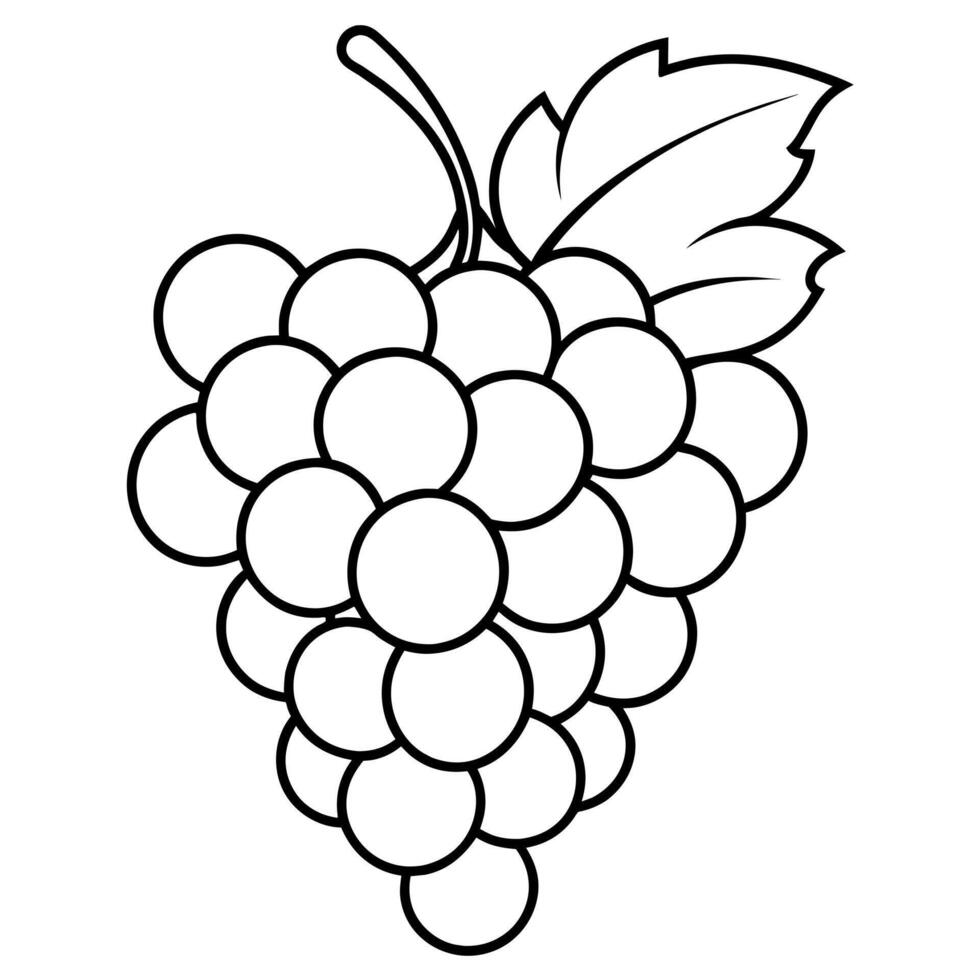 Grape outline coloring page illustration for children and adult vector