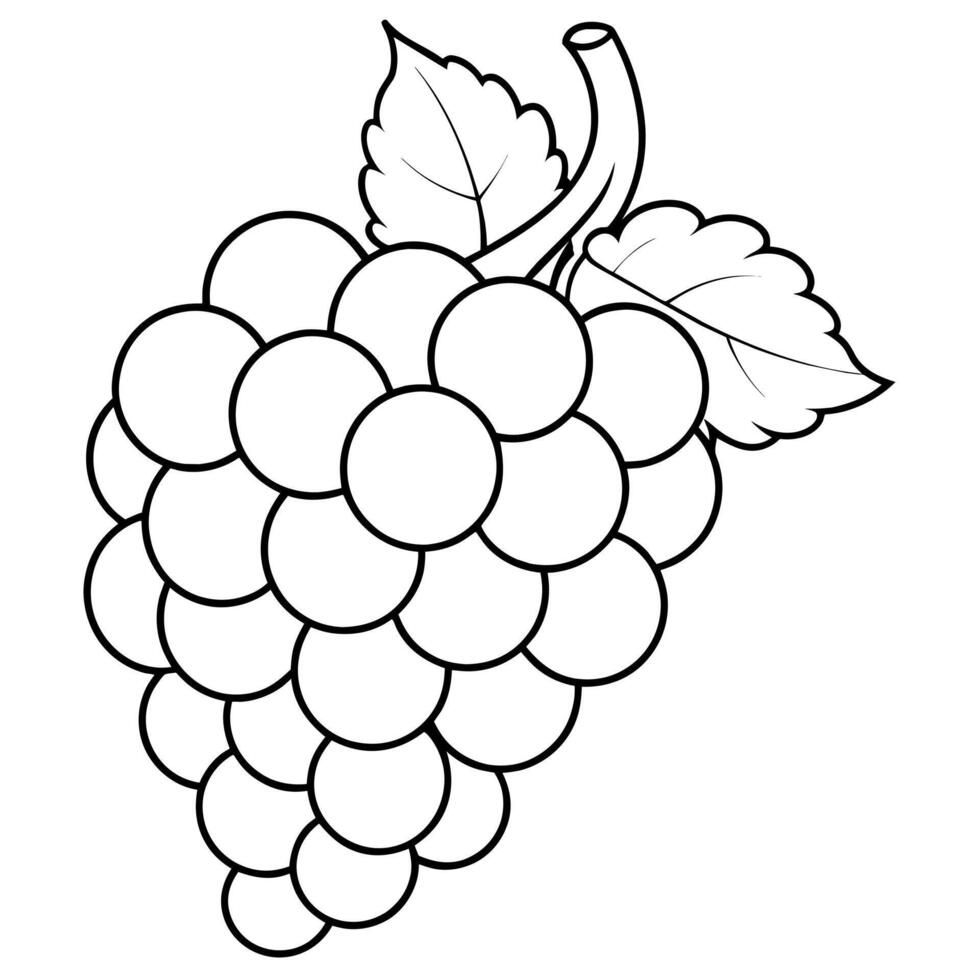 Grape outline coloring page illustration for children and adult vector