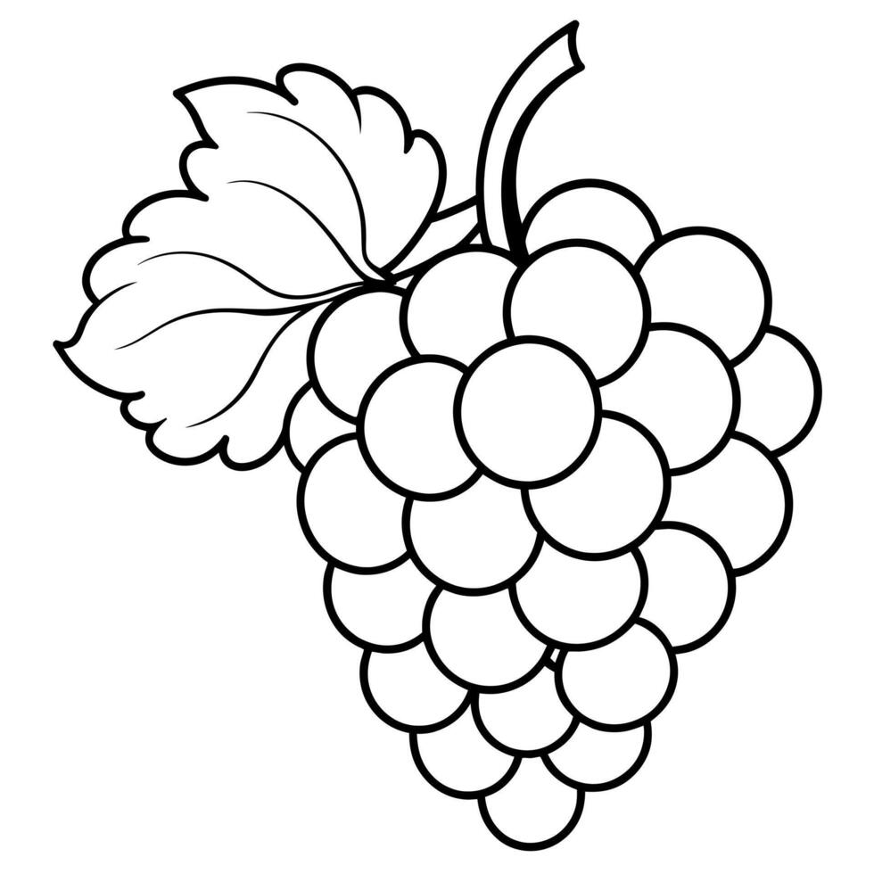 Grape outline coloring page illustration for children and adult vector