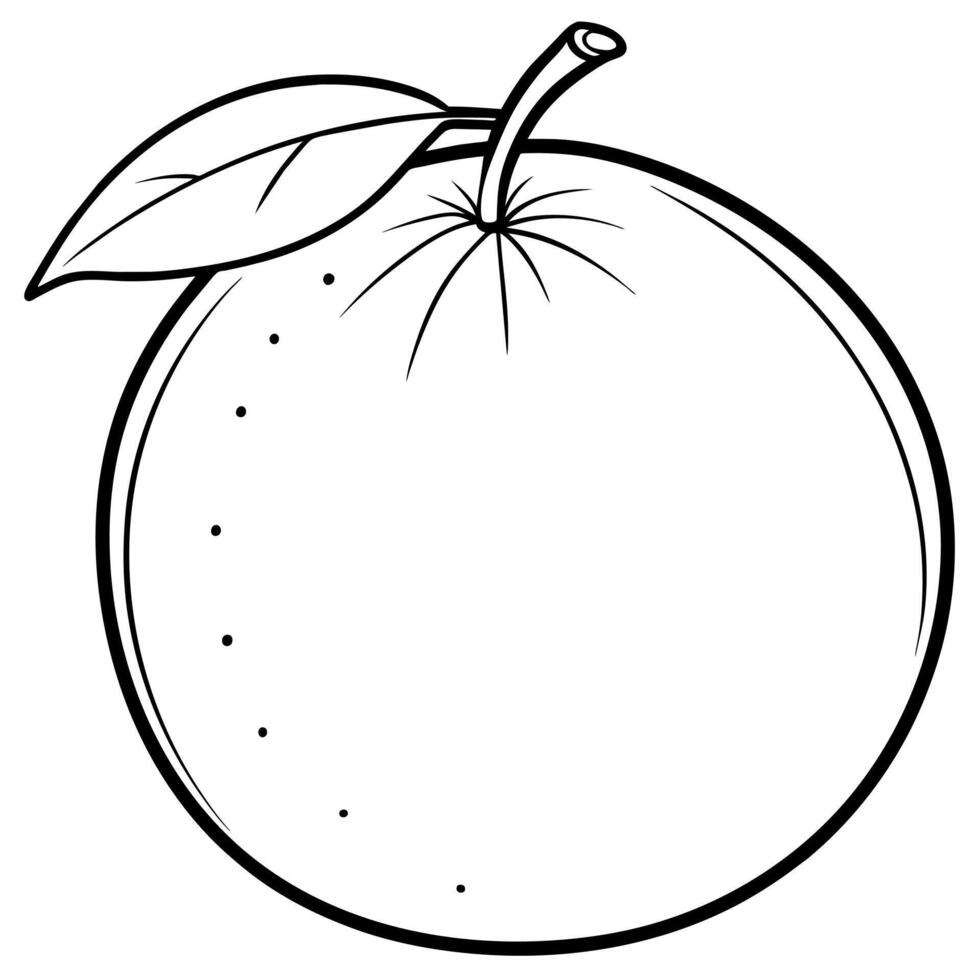 Orange outline coloring page illustration for children and adult vector