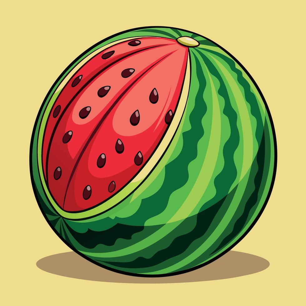 Watermelon colorful cartoon vector illustration