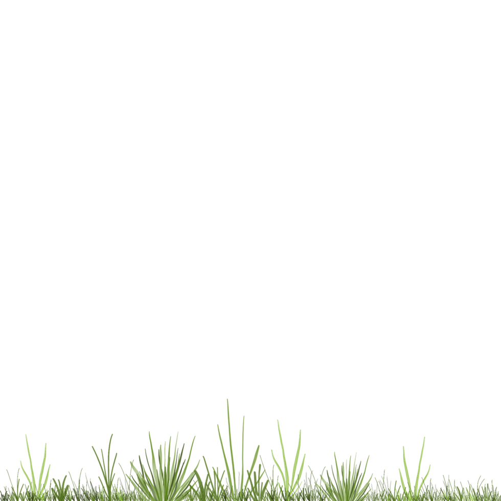 Fresh Green Grass png