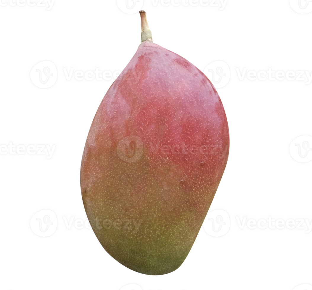 Mango isolated on transparent background png