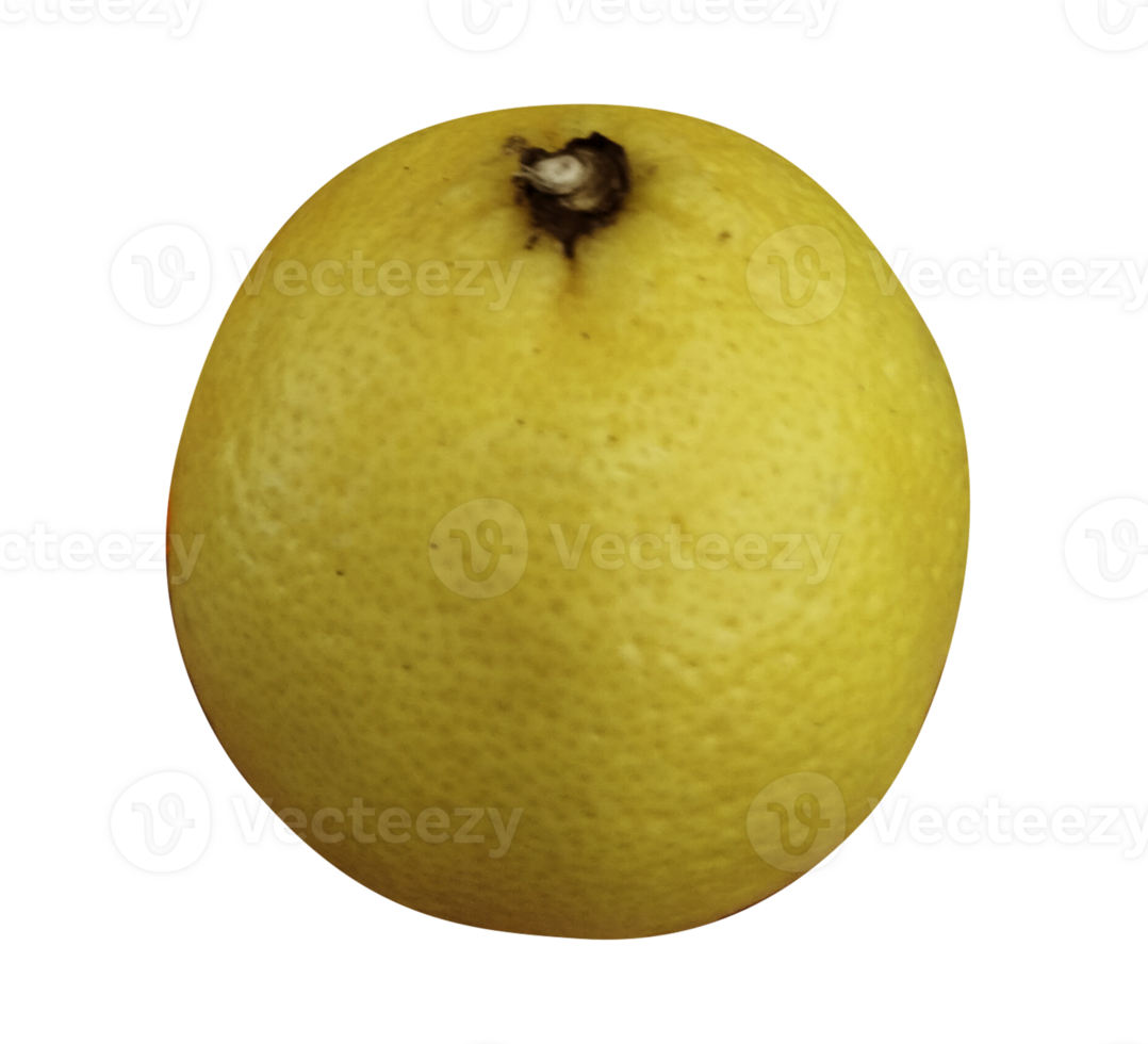 Lemon isolated on transparent background png