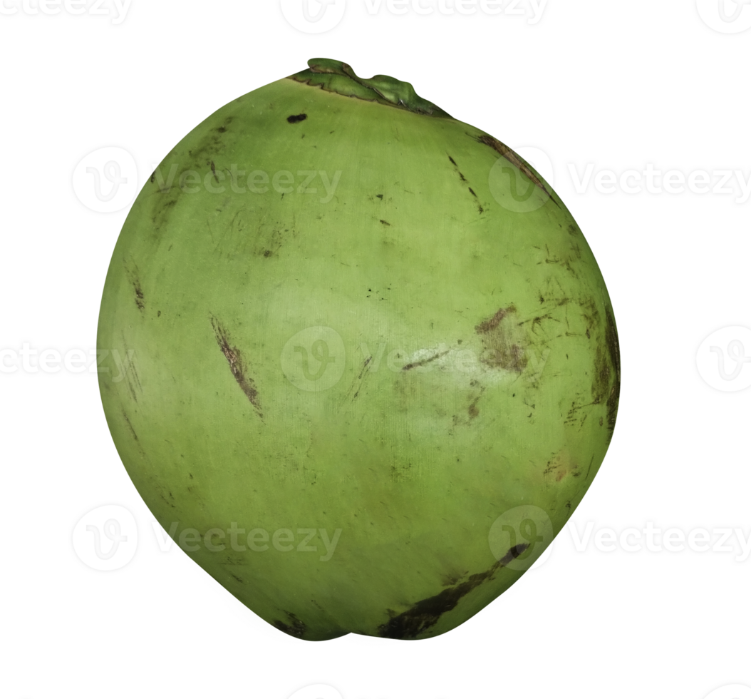 Green coconut isolated on transparent background png