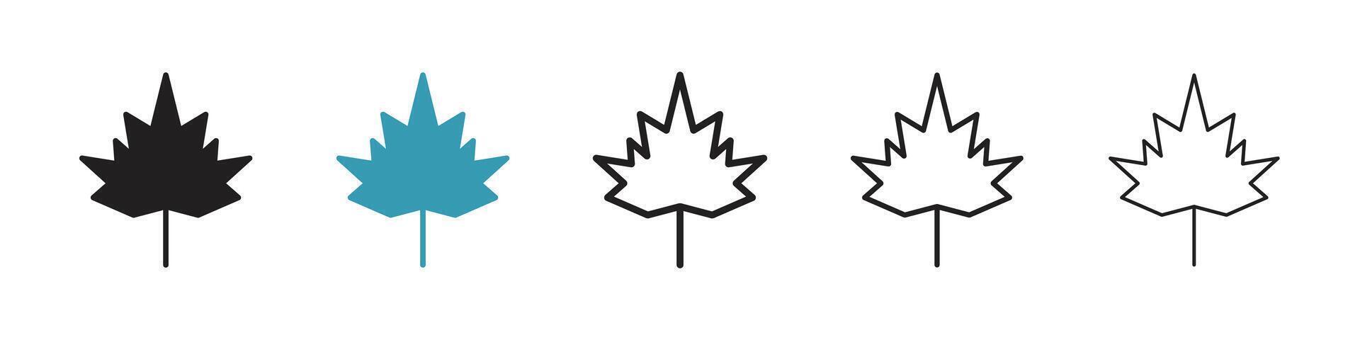 Autumn leaf canadian icon vector