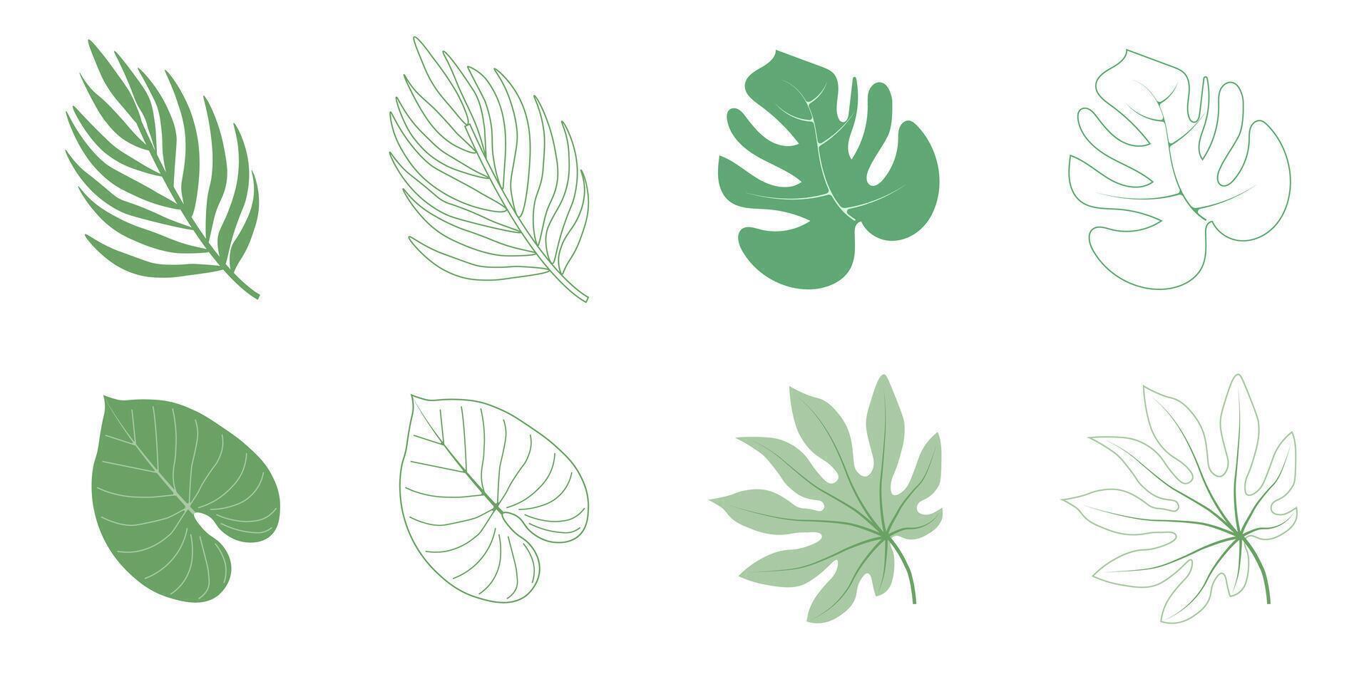 Minimal drawn leaves botanical line art. Trendy elements of garden and spring leaves. Vector illustration for invitation, banners, cards. Isolated
