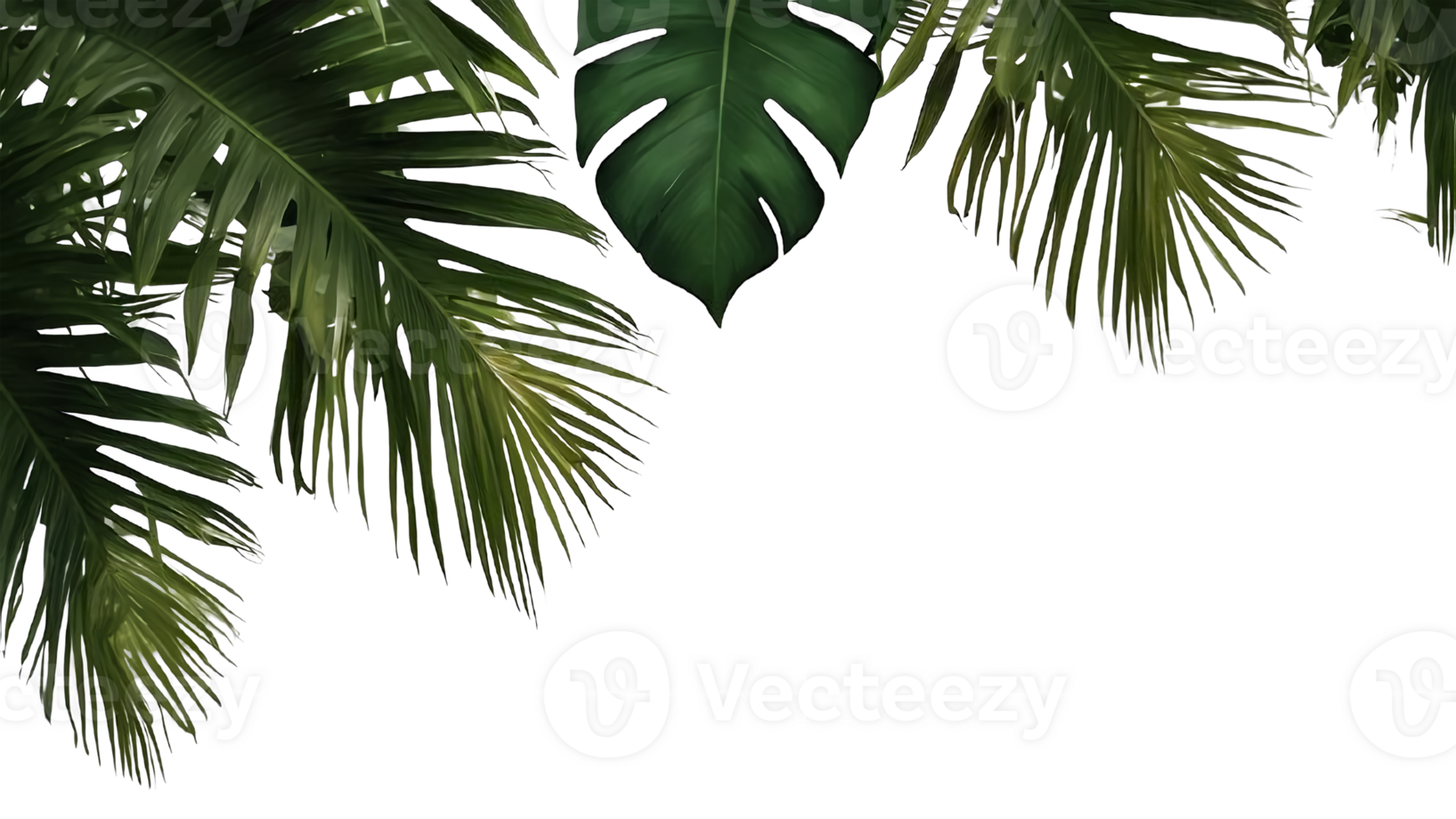 AI Generated Natural of Tropical green leaves of leaf isolated on transparent png background, varies different of plant botanical. AI generation