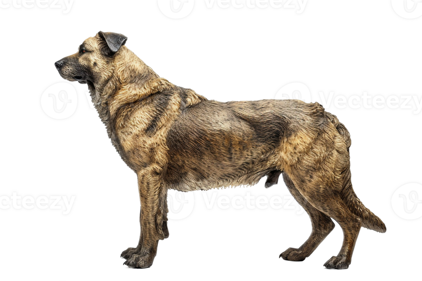 AI generated Shepherd Dog On Transparent Background. png