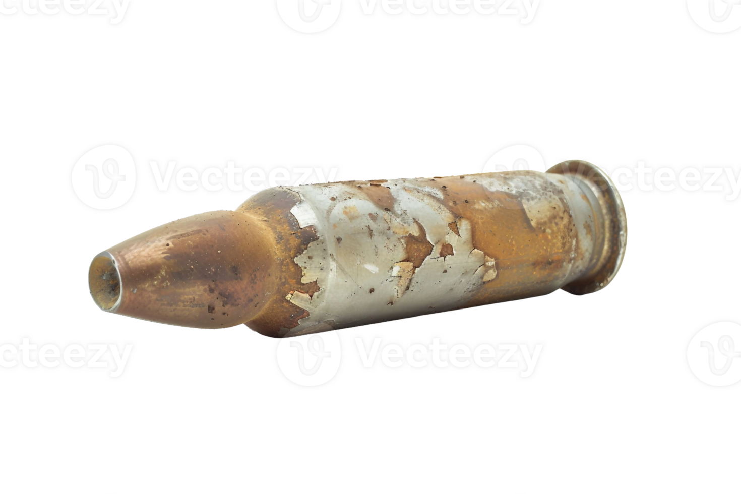 AI generated Shell On Transparent Background. png