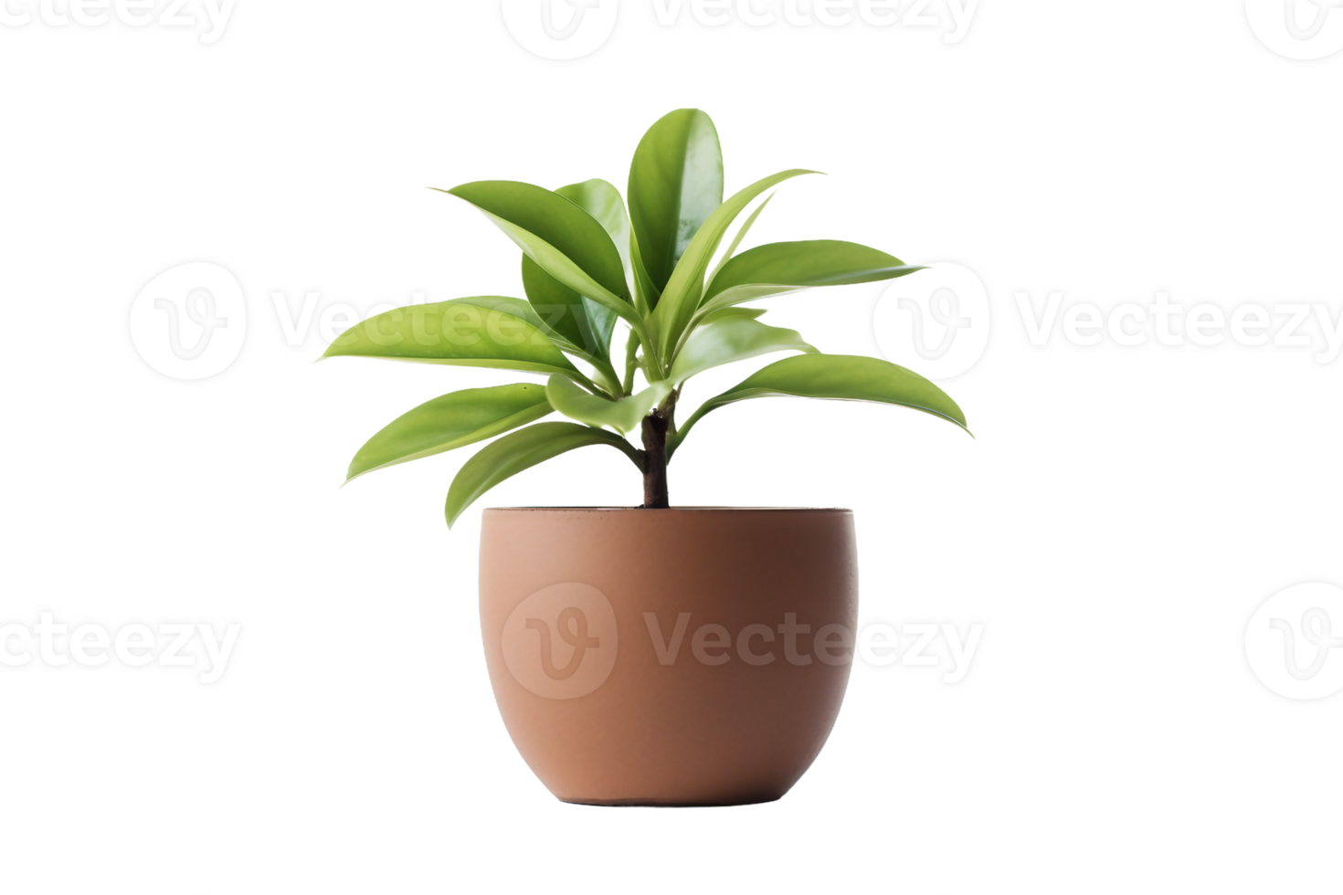 AI generated Botanical Elegance on a Clean Canvas On Transparent Background png