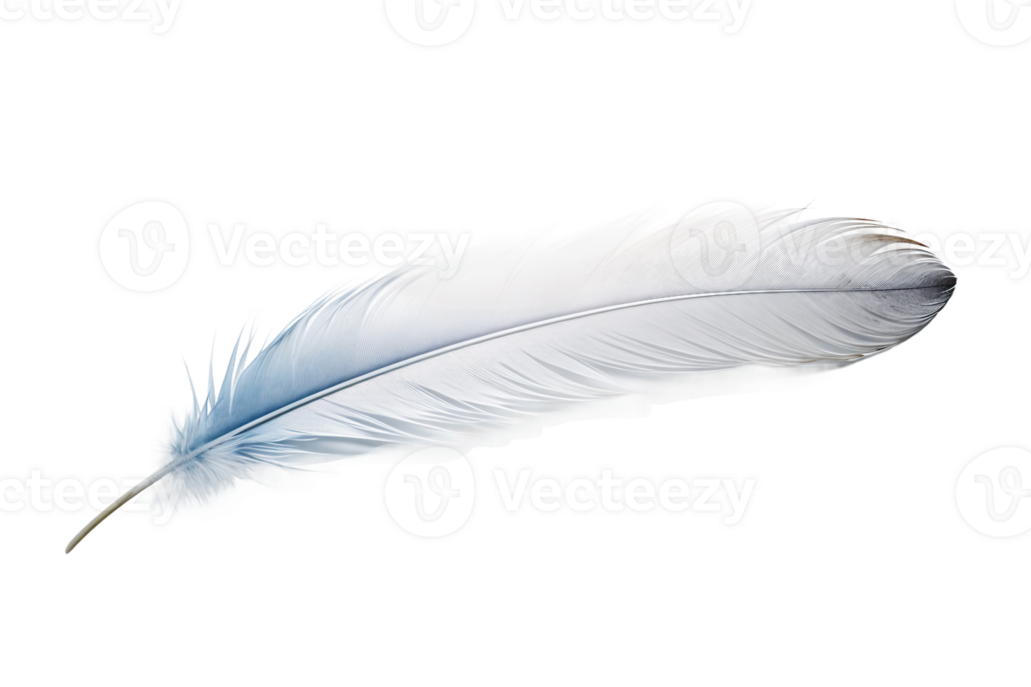 AI generated Bird Feather on Transparent Background. png