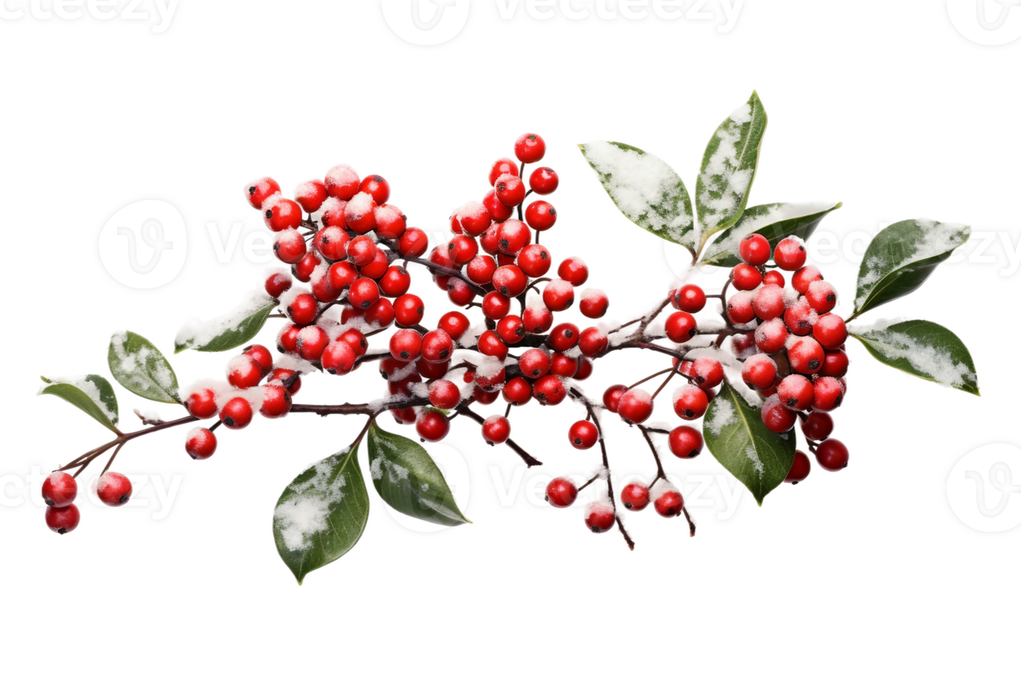 AI generated Frost-Kissed Berries on Transparent Background. png