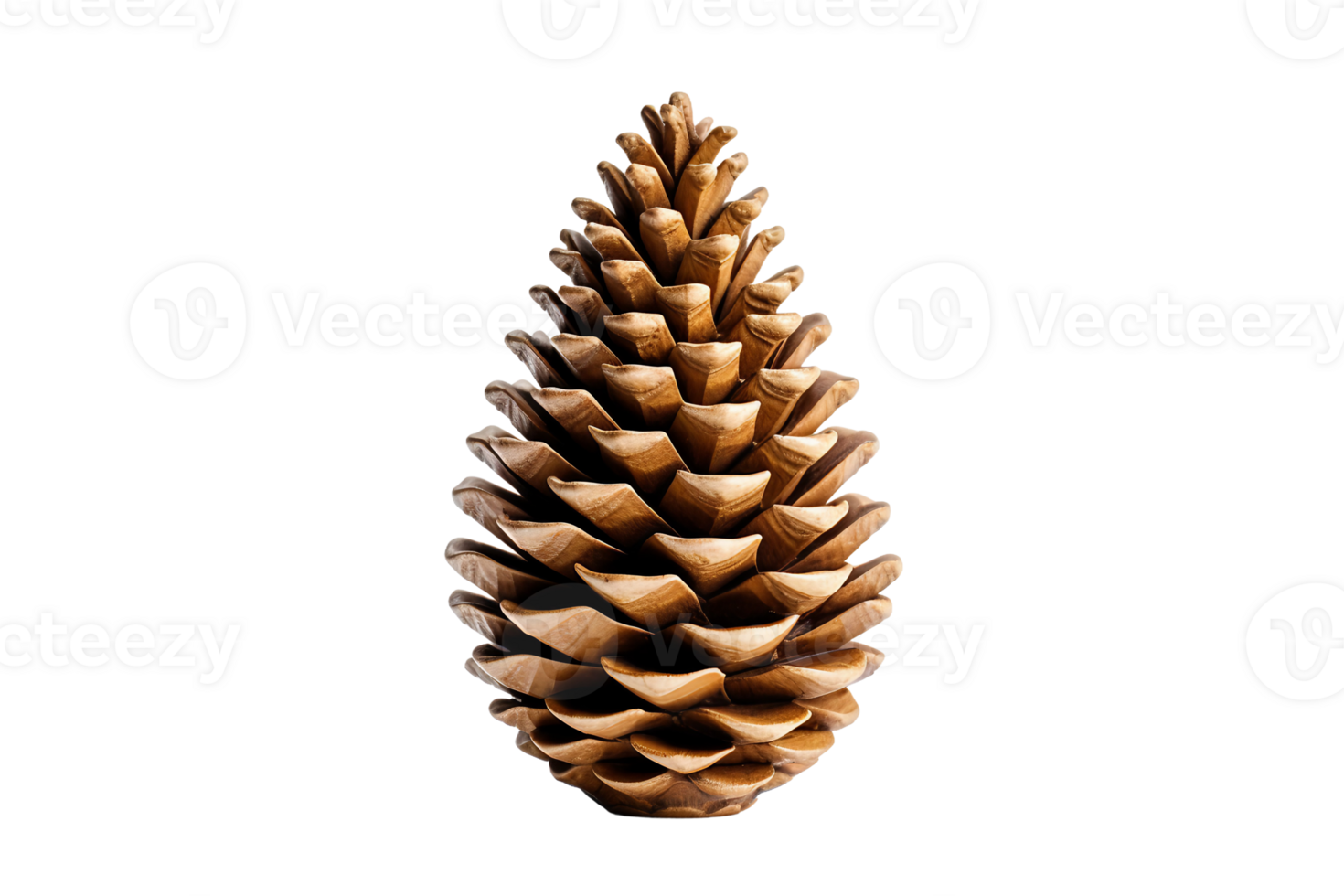 AI generated Tree Cone on Transparent Background. png