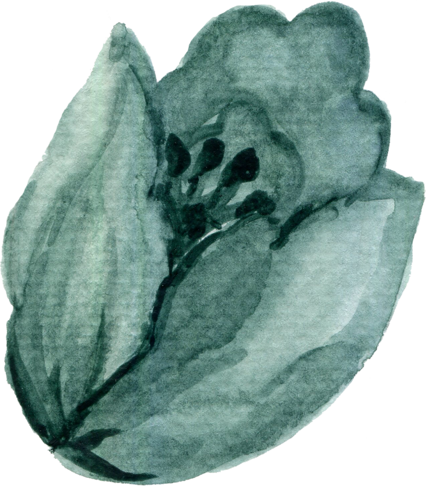 isoliert Aquarell Laub Blatt Blume Frühling Tulpen Feld png