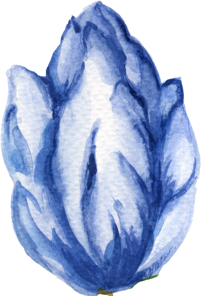 isoliert Aquarell Laub Blatt Blume Frühling Tulpen Feld png