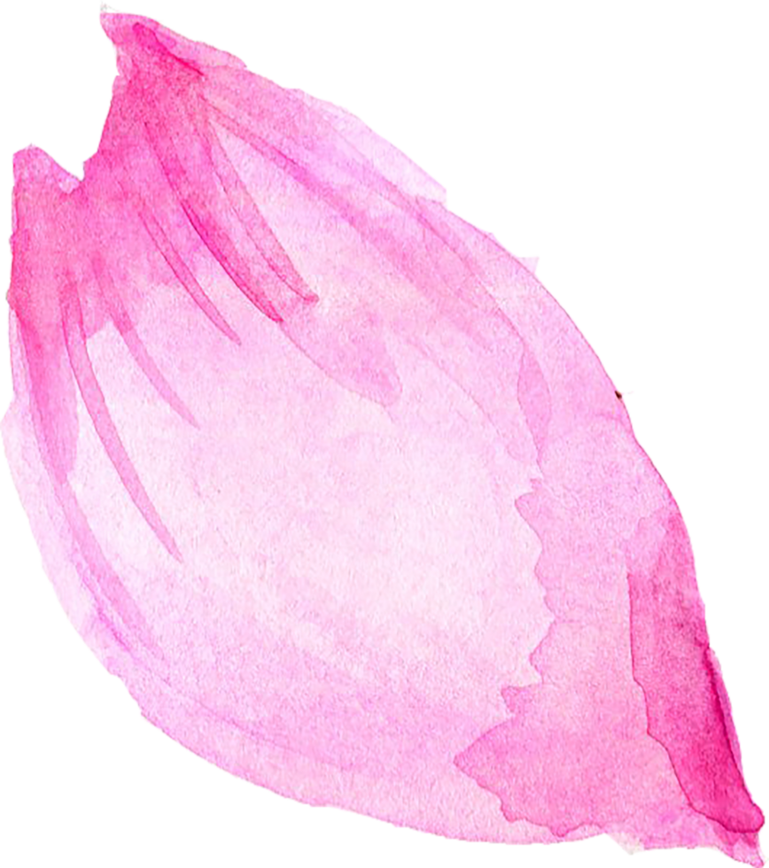 sakura kersenbloesem png