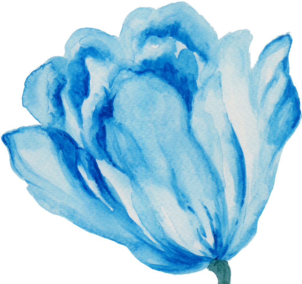 éléments botanique Prairie champ fleur tulipes png