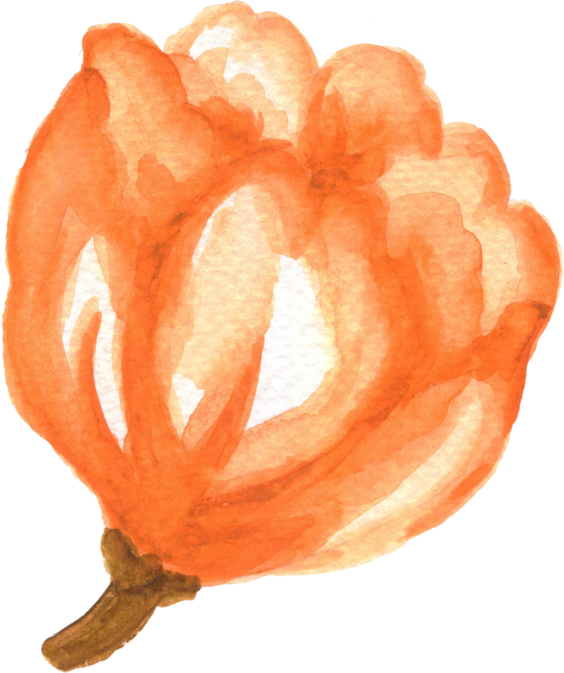 isolerat vattenfärg lövverk blad blomma vår tulpaner fält png