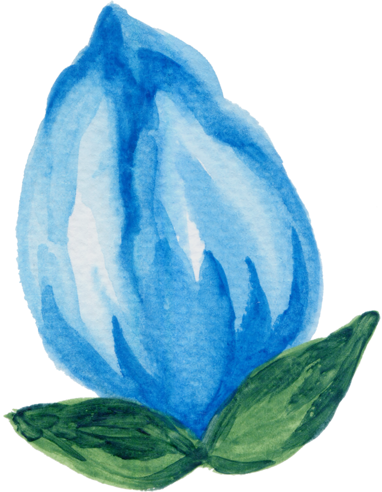 isoliert Aquarell Laub Blatt Blume Frühling Tulpen Feld png