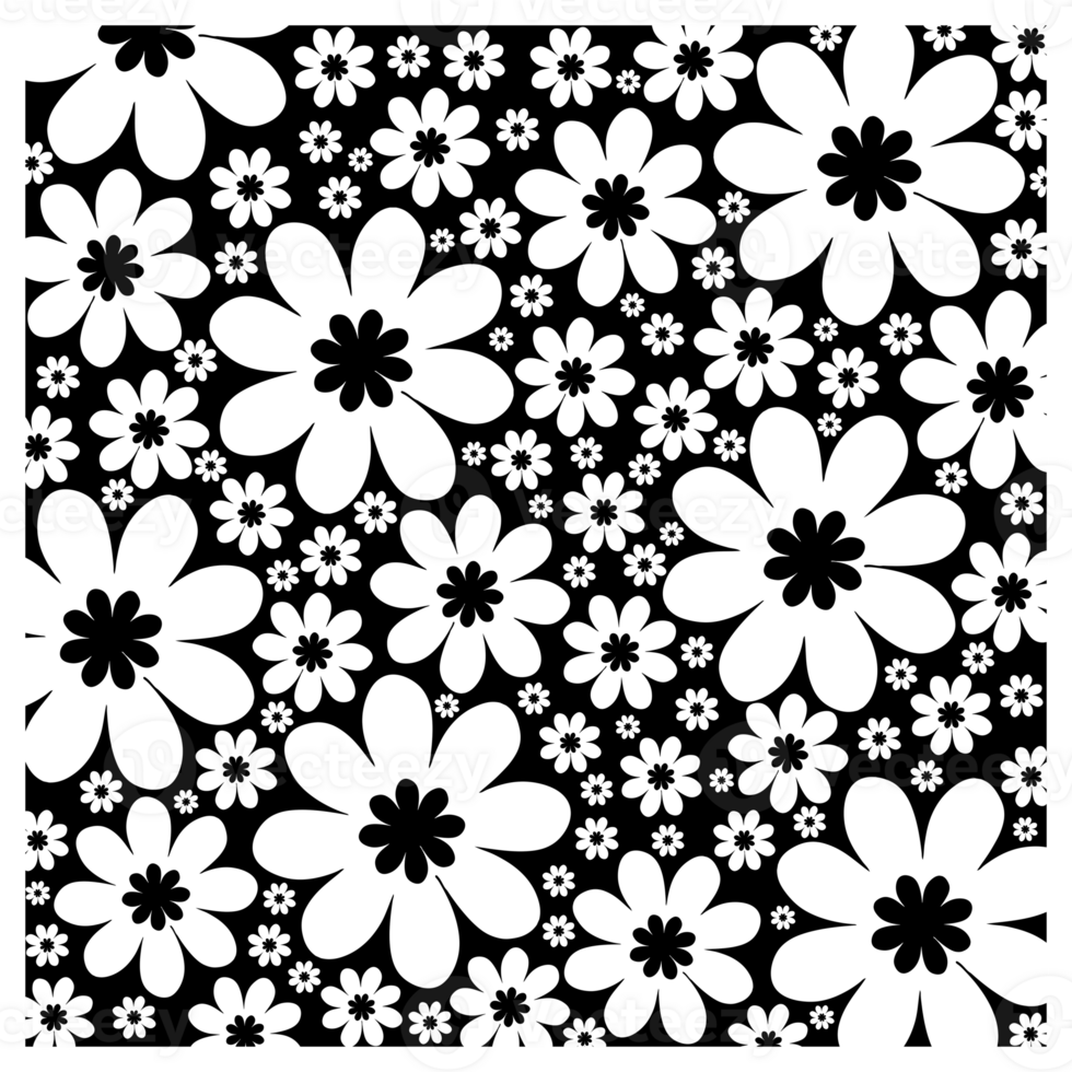 nero e bianca margherita fiore modello png