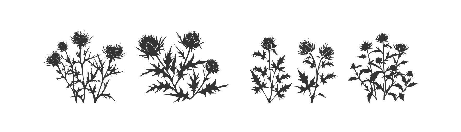 Burdock thistle icon set. Vector illustration design.