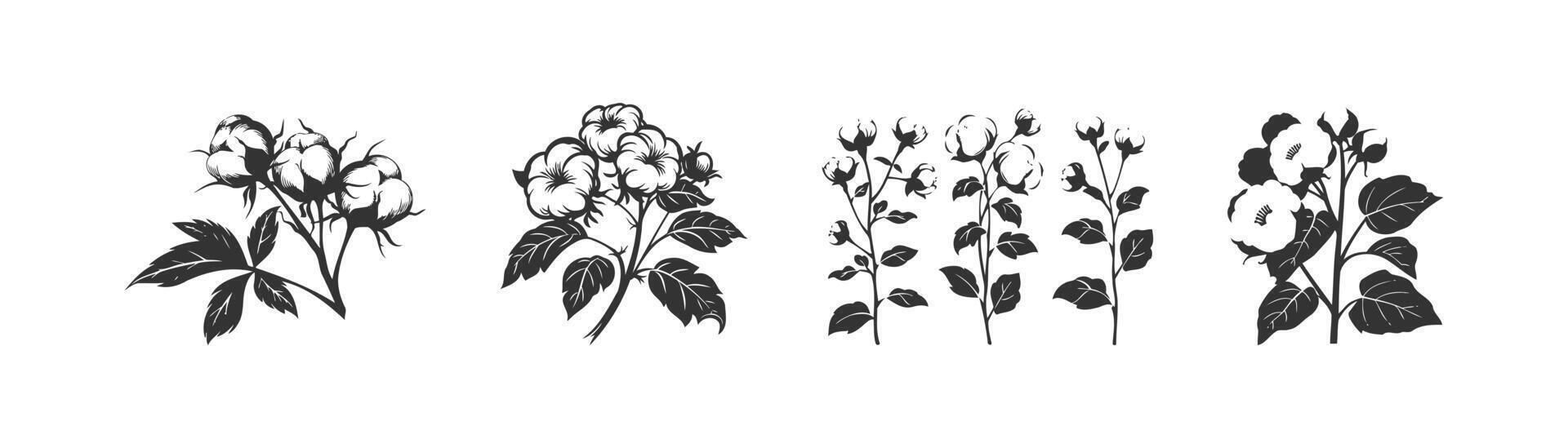 Cotton flower icon set. Vector illustration design.