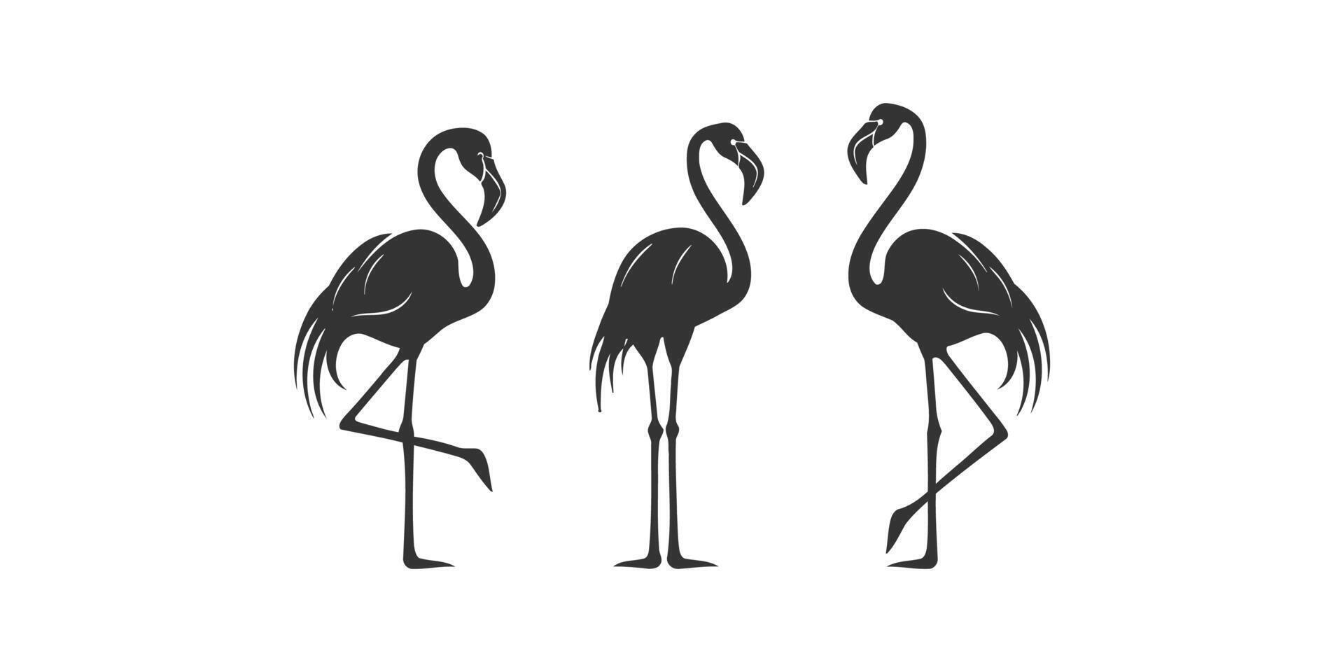 Black silhouette flamingo icon set. Vector illustration design.